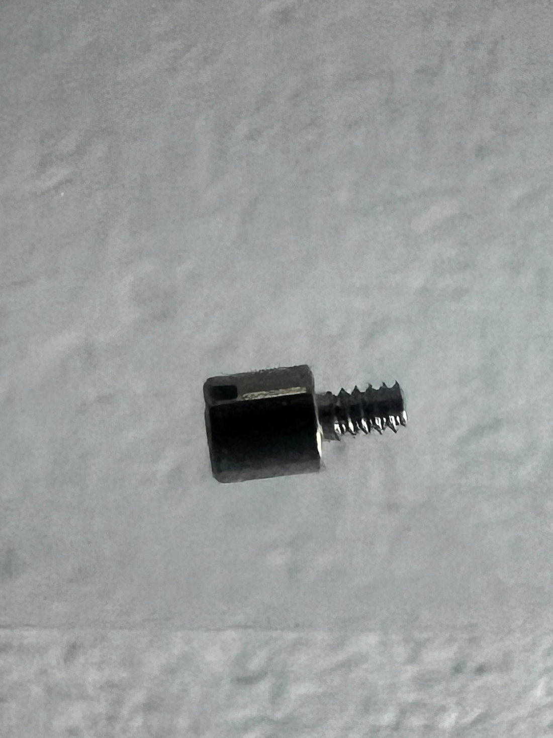 Original Audemars Piguet Caliber 3120/3126 &amp; 3090 Screw for Casing